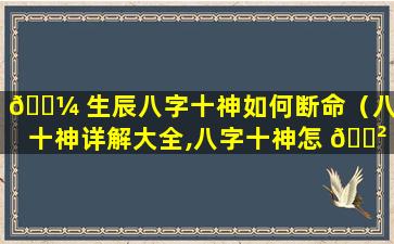 🐼 生辰八字十神如何断命（八字十神详解大全,八字十神怎 🌲 么看）